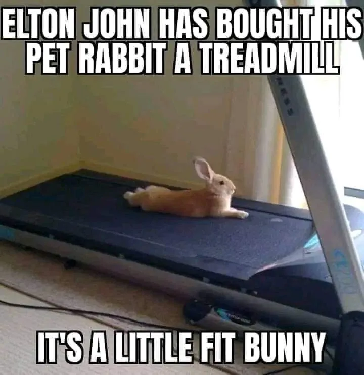 A light brown rabbit is lying relaxed on a treadmill, which is turned off and positioned indoors near a window. The image…