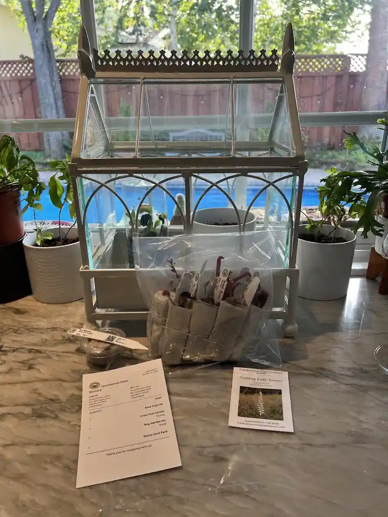A small, ornate glass greenhouse with a metal frame sits on a marble countertop, containing a few small potted plants…
