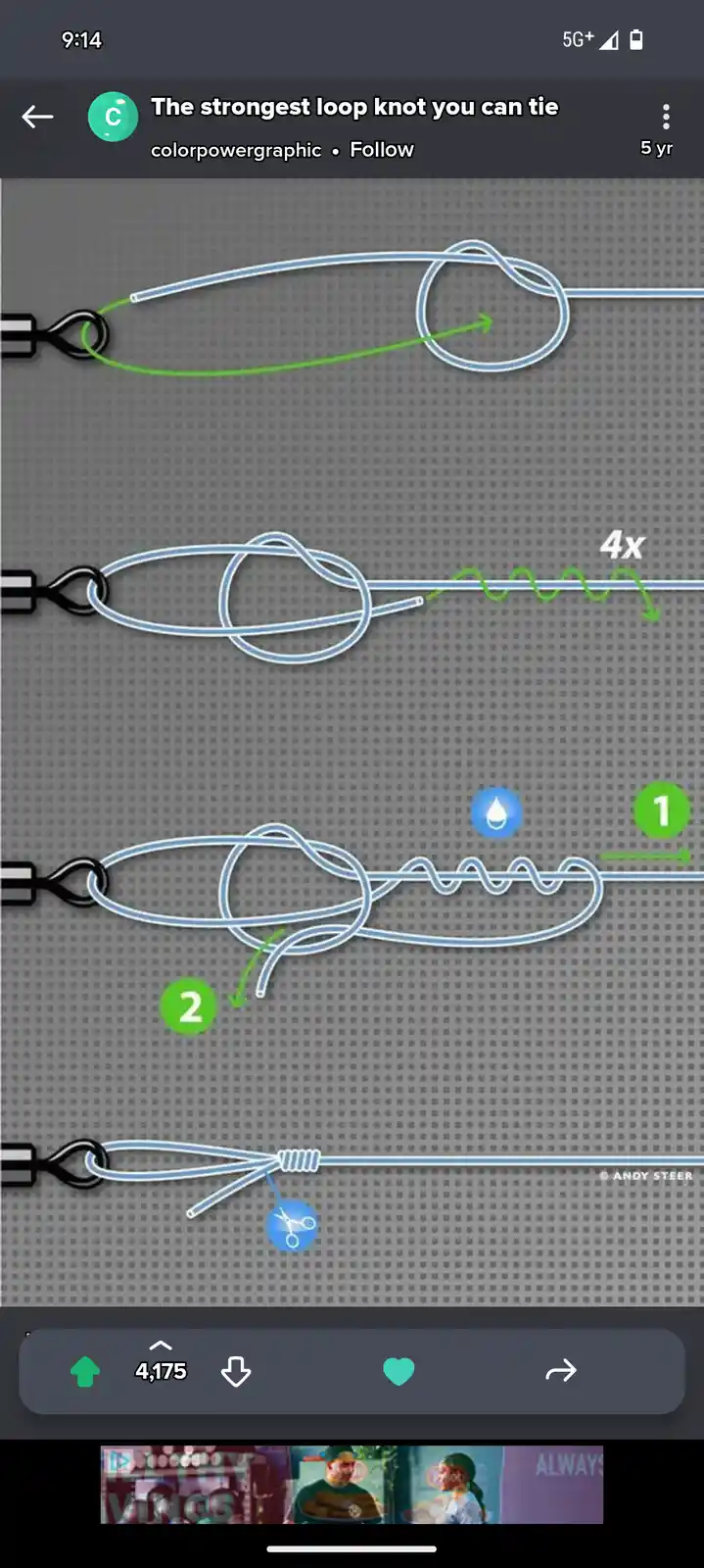 A four-step instructional graphic shows how to tie a loop knot using a blue rope and a black eyelet, with green arrows…