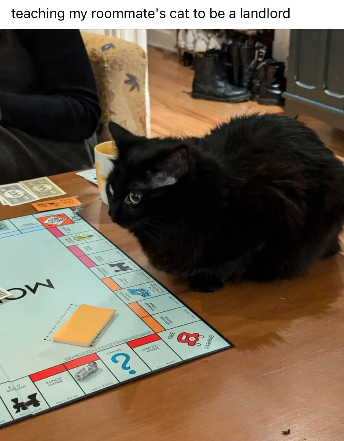 A black cat sits on a wooden floor next to a Monopoly board game, looking intently at the board. A person in a black sweater…