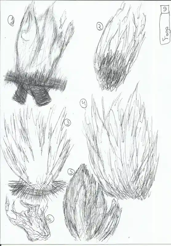 Creative Scribbles: Days 9 & 10 Featuring Fire and Birds