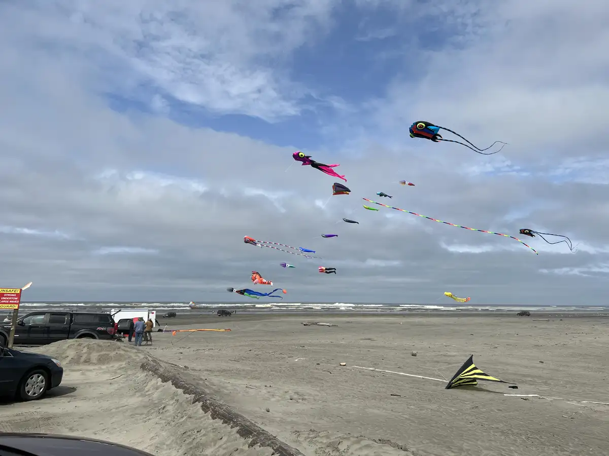 A wide beach scene under a cloudy sky, filled with numerous colorful, large, fish-shaped kites flying high. Several people…