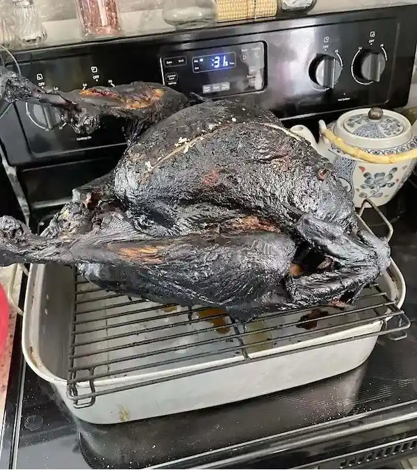 A roasted turkey sits on a wire rack inside a baking pan on a stovetop, its skin completely blackened and charred from…