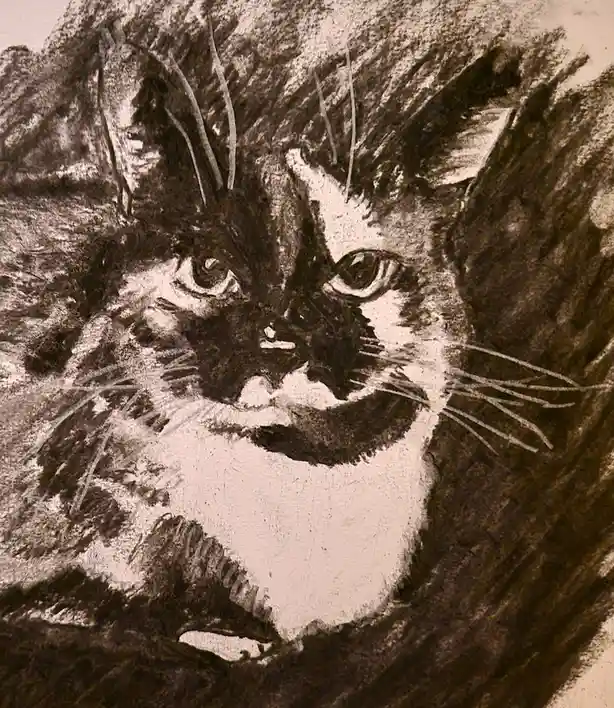 A sepia-toned, textured drawing of a cat's face with a white muzzle and dark fur, featuring prominent whiskers and intense…