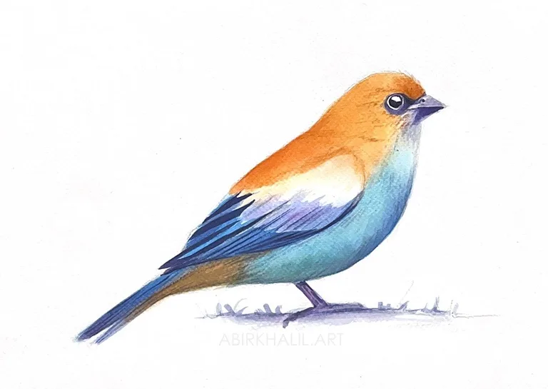 A watercolor painting of a small bird with an orange head, white chest, and blue wings and tail, standing on a simple ground…