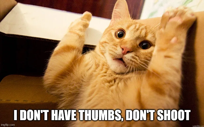 Wait, Don't Shoot! What’s Happening?
