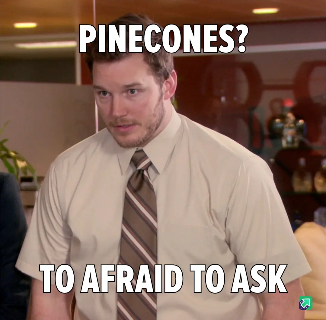 A man in a beige shirt and striped tie looks confused and slightly alarmed, with the text 'PINECONES?' at the top and 'TO…