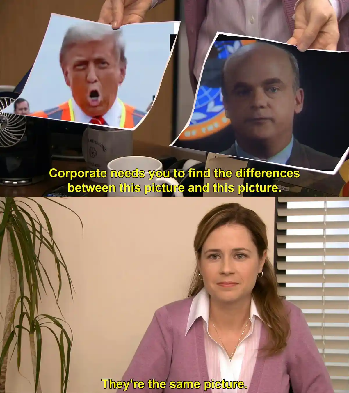 Can You Spot the Difference?