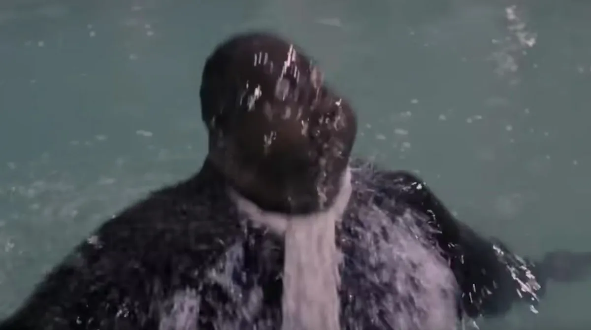 A person submerged in water with their head tilted back, water streaming down their face and neck, creating a dramatic…