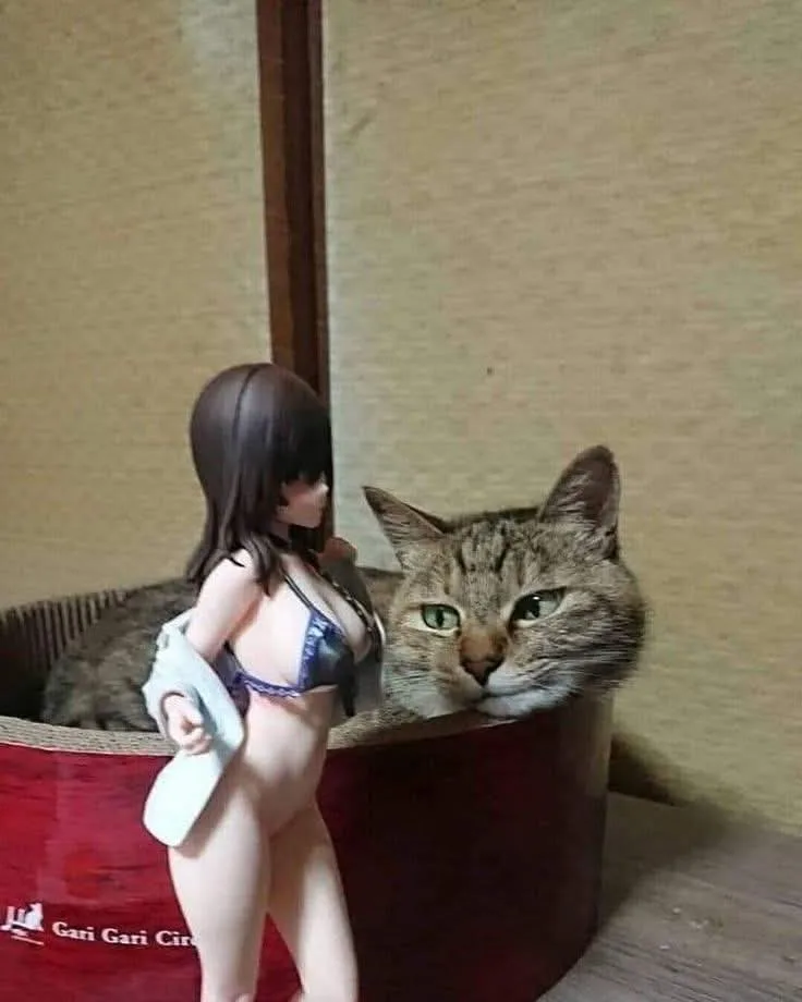 A tabby cat with green eyes is peeking out of a red cardboard box, positioned next to a female anime figurine in a bikini…