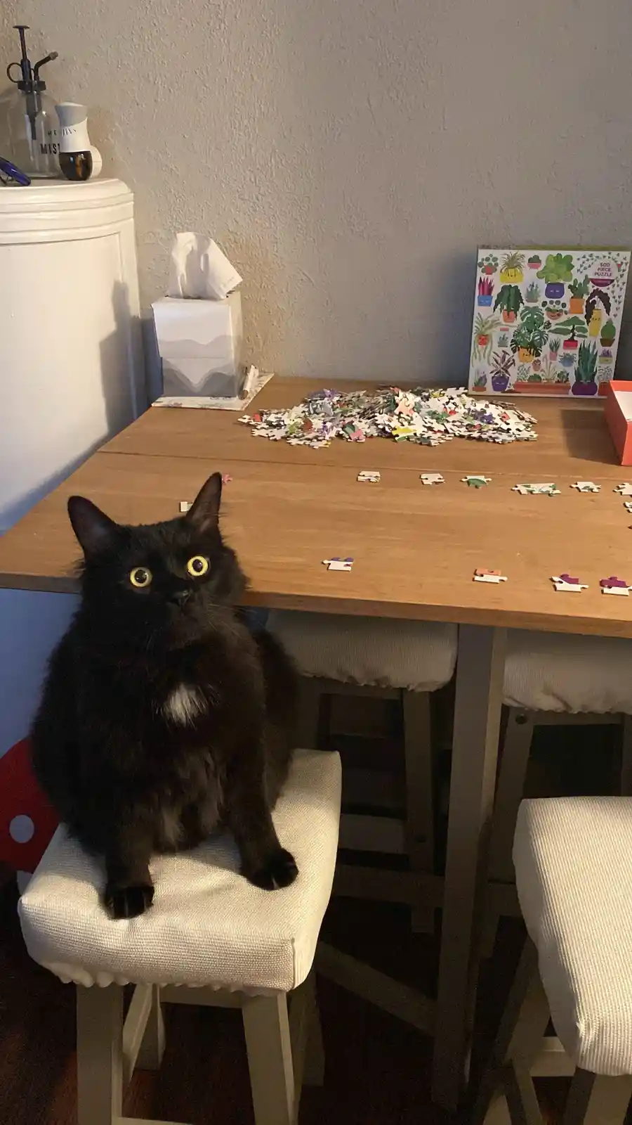 A black cat with wide, startled eyes sits on a white stool at a wooden table covered in scattered puzzle pieces. Behind the…