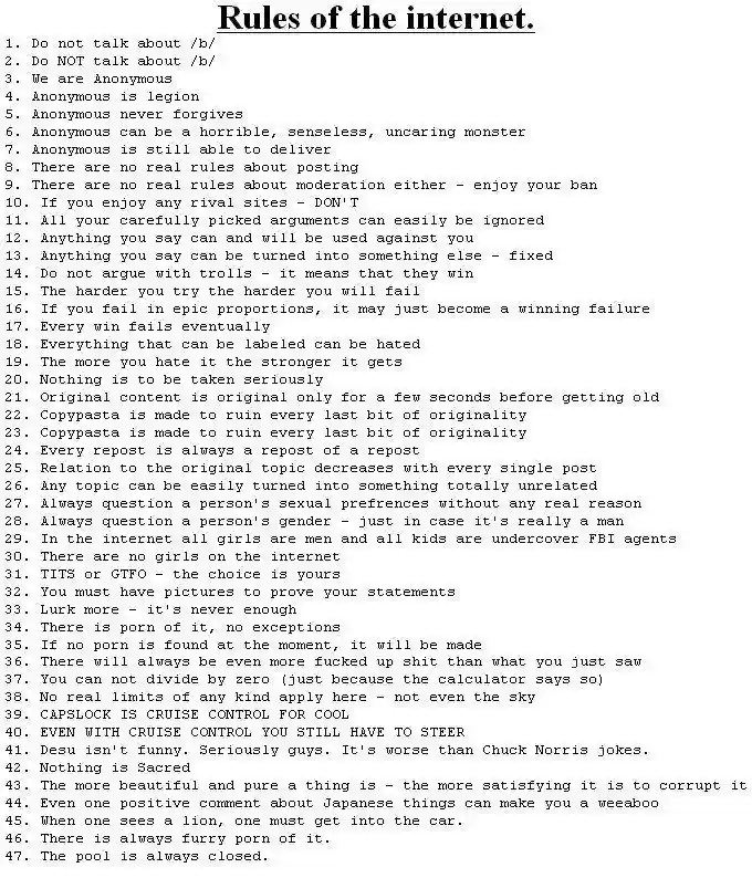 A black-and-white image displays a numbered list titled 'Rules of the internet.' The list contains 47 humorous, cynical, and…