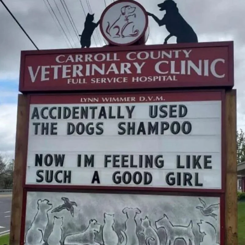 A photo of a veterinary clinic sign for Carroll County Veterinary Clinic with a marquee board that reads 'ACCIDENTALLY USED…