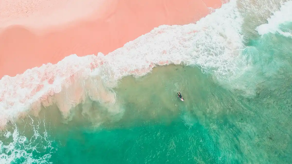 At Bondi Beach, near Sydney, surfers paddle strenuously past breaking waves, hoping for a ride back to shore. Bondi, meaning…
