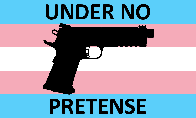 A black silhouette of a handgun is centered over the transgender flag, which has horizontal stripes of light blue, pink…