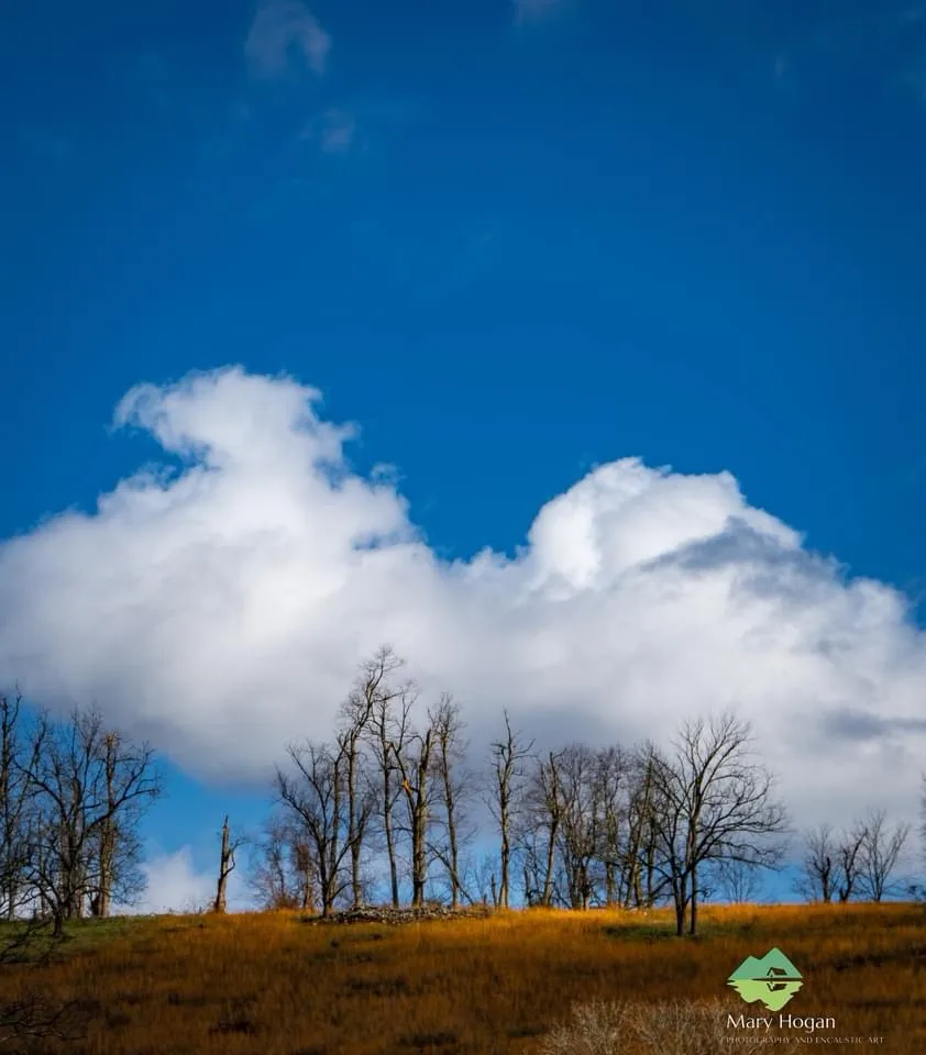 A Sky Full of Clouds: Nature's Canvas