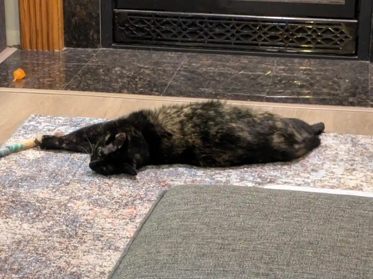 A tortoiseshell cat is stretched out horizontally on a patterned rug in front of a fireplace, appearing deeply relaxed. The…