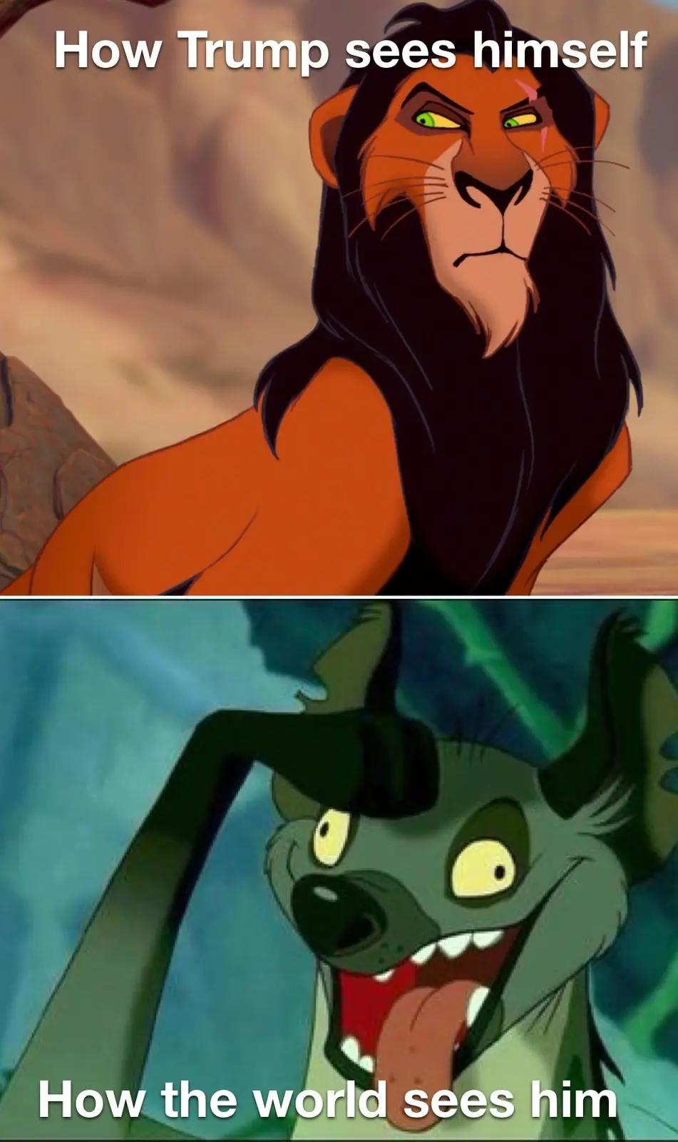 The image is split into two panels. The top panel shows the animated character Scar from 'The Lion King' with a smug…