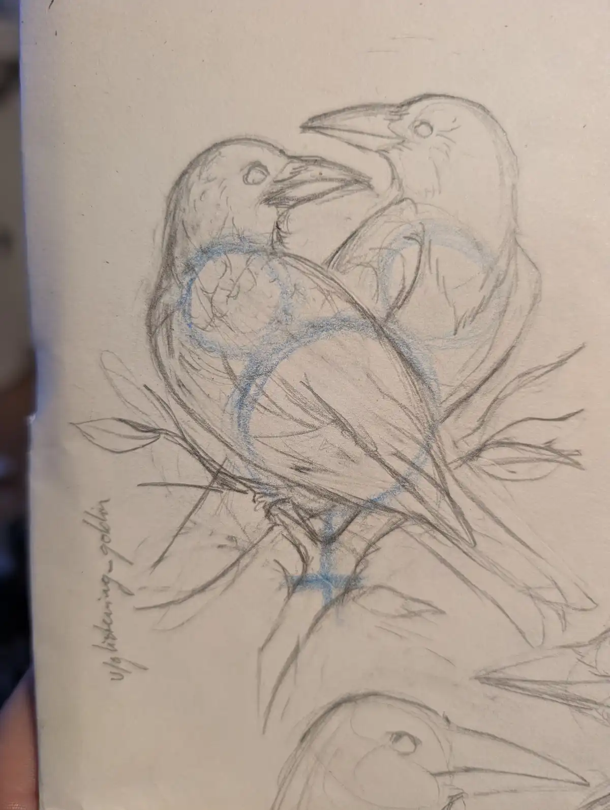 A pencil sketch of two birds perched on a branch, with blue pencil outlines highlighting their bodies and a faint blue cross…