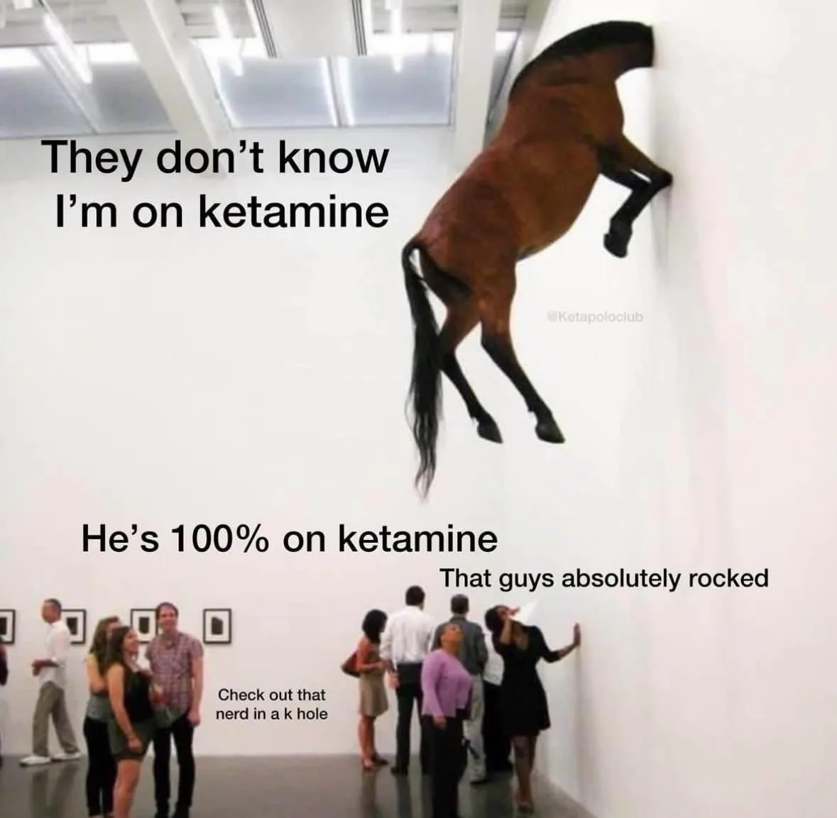 A brown horse sculpture is mounted on a white gallery wall, appearing to defy gravity as it leans upward. Below, several…