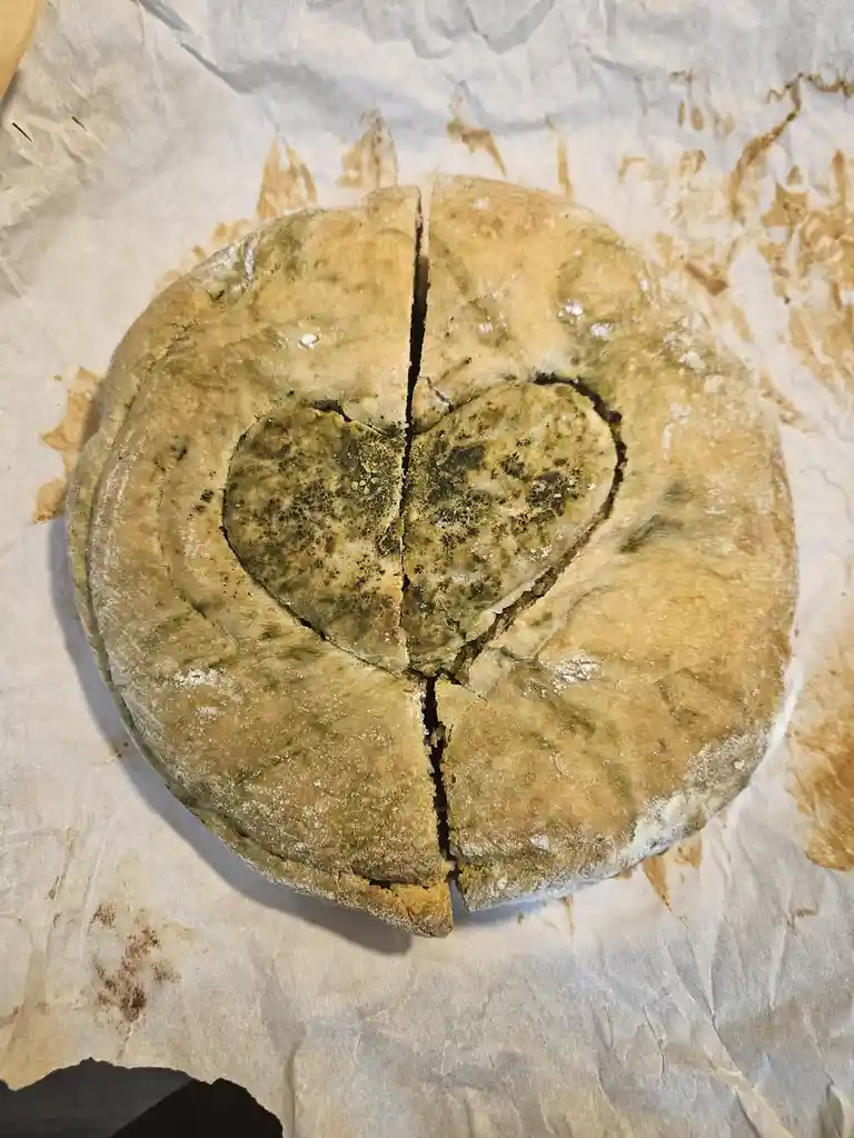 A round loaf of bread, visibly covered in green mold, is sliced into four pieces with a heart shape cut out from the center…