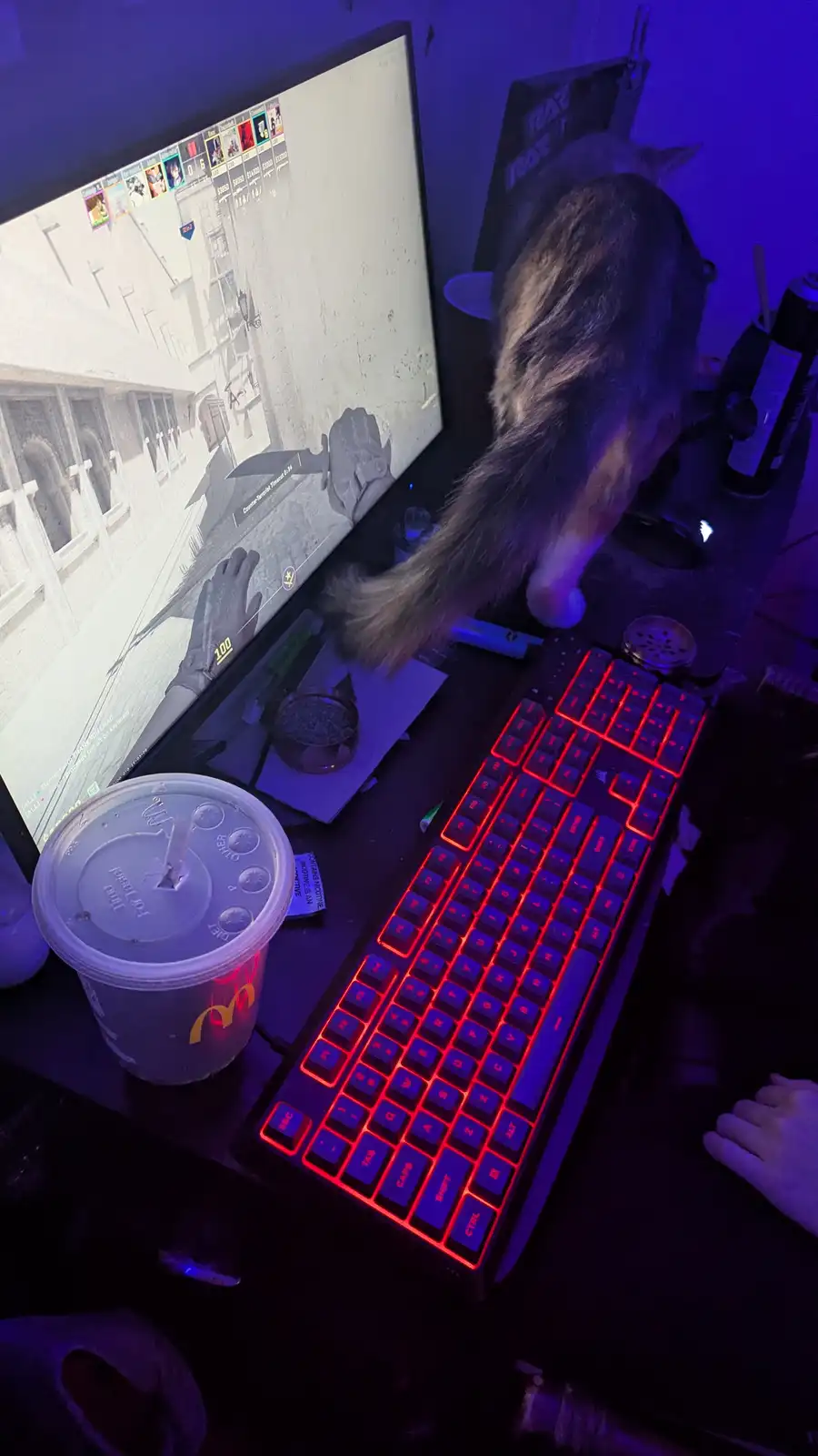 A cat stands on a gaming desk, its body positioned directly in front of a monitor displaying a first-person shooter game…