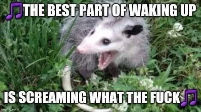 An image of an opossum in grass with its mouth wide open, overlaid with bold white text reading 'THE BEST PART OF WAKING UP'…