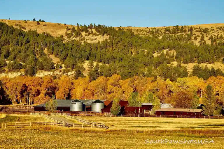 A scenic rural landscape featuring a farm with red barns and silver silos nestled among golden autumn trees and green pine…