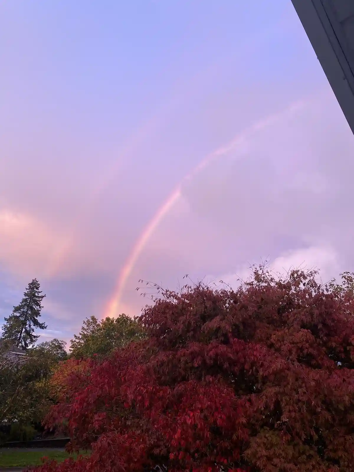 A photograph shows a faint rainbow arcing across a soft purple and pink sky above trees with red autumn leaves; the overlaid…