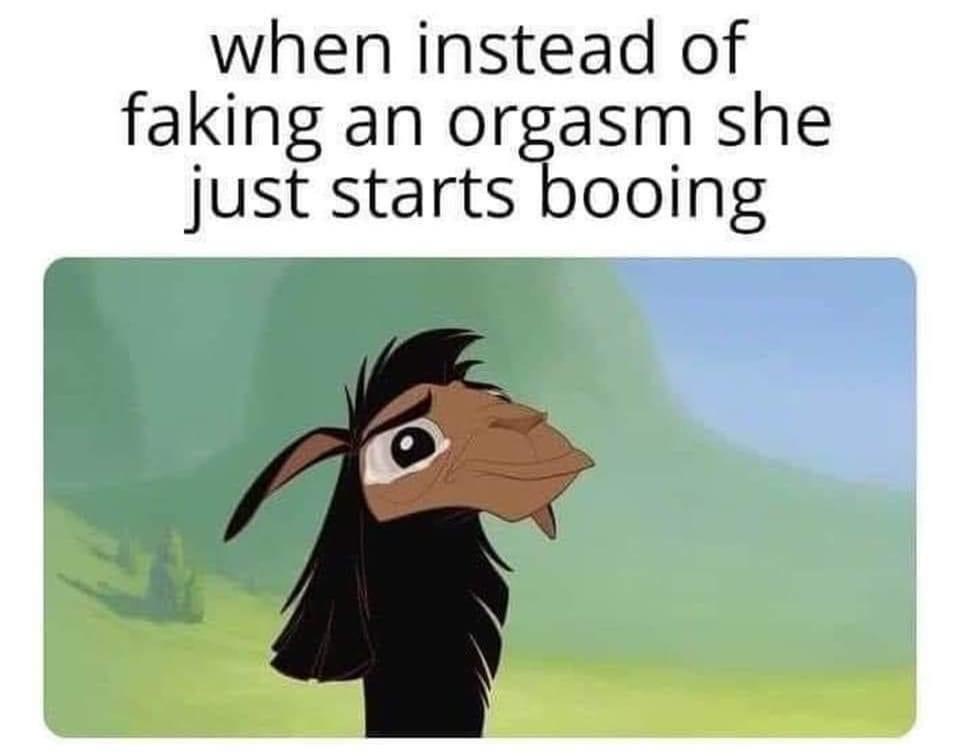 The image shows a cartoon llama with a smug, self-satisfied expression, looking off to the side. The overlaid text reads…