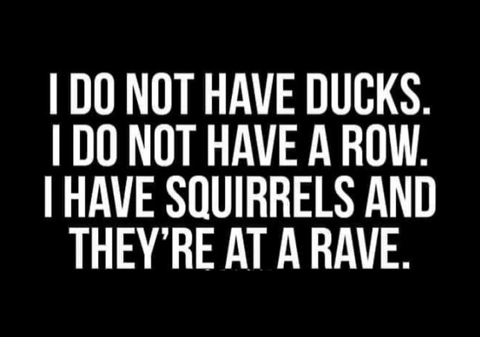 The image features bold white text on a solid black background. The text reads: 'I DO NOT HAVE DUCKS. I DO NOT HAVE A ROW. I…