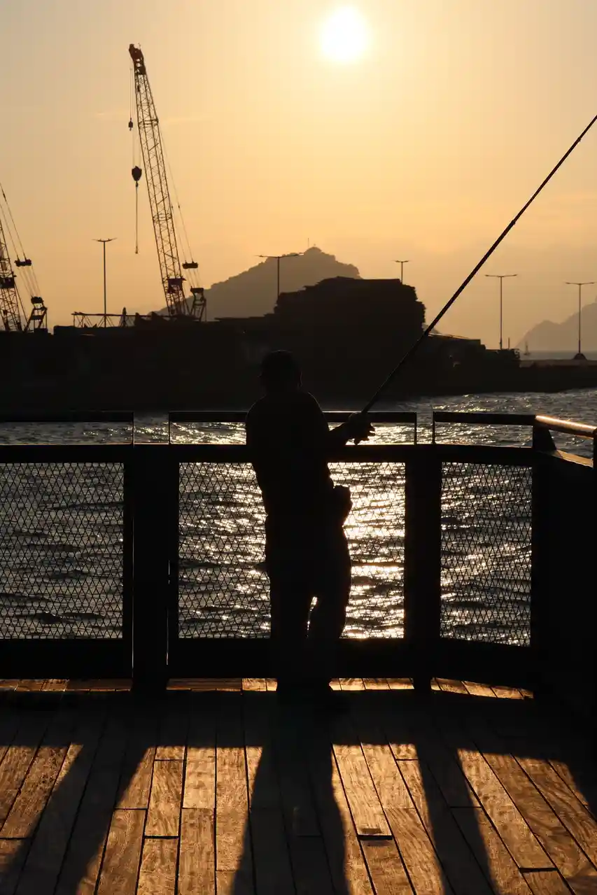 A silhouette of a person holding a fishing rod stands on a wooden pier at sunset, with the sun low in the sky and cranes…