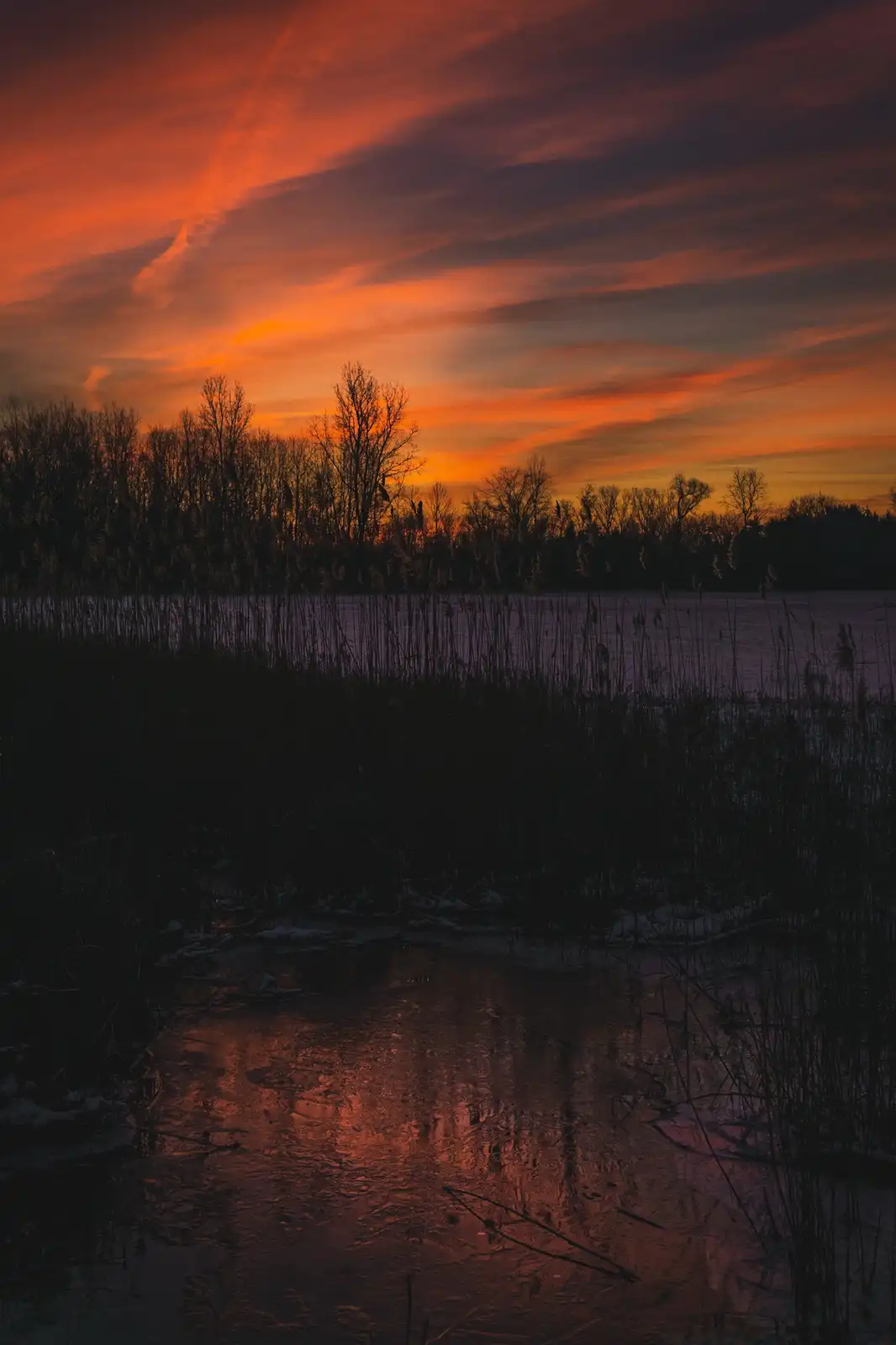 A serene winter sunset over a frozen lake, with vibrant orange and red clouds reflected in the icy water, silhouetted reeds…