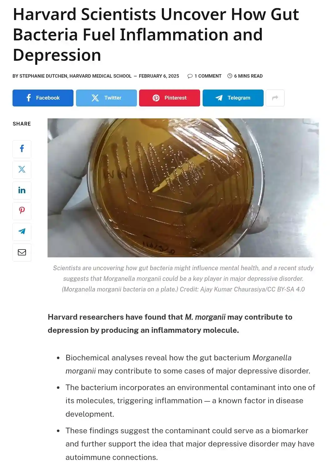 A screenshot of a news article titled 'Harvard Scientists Uncover How Gut Bacteria Fuel Inflammation and Depression' shows a…