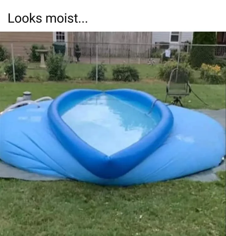 Welcome to the Poodling Pad