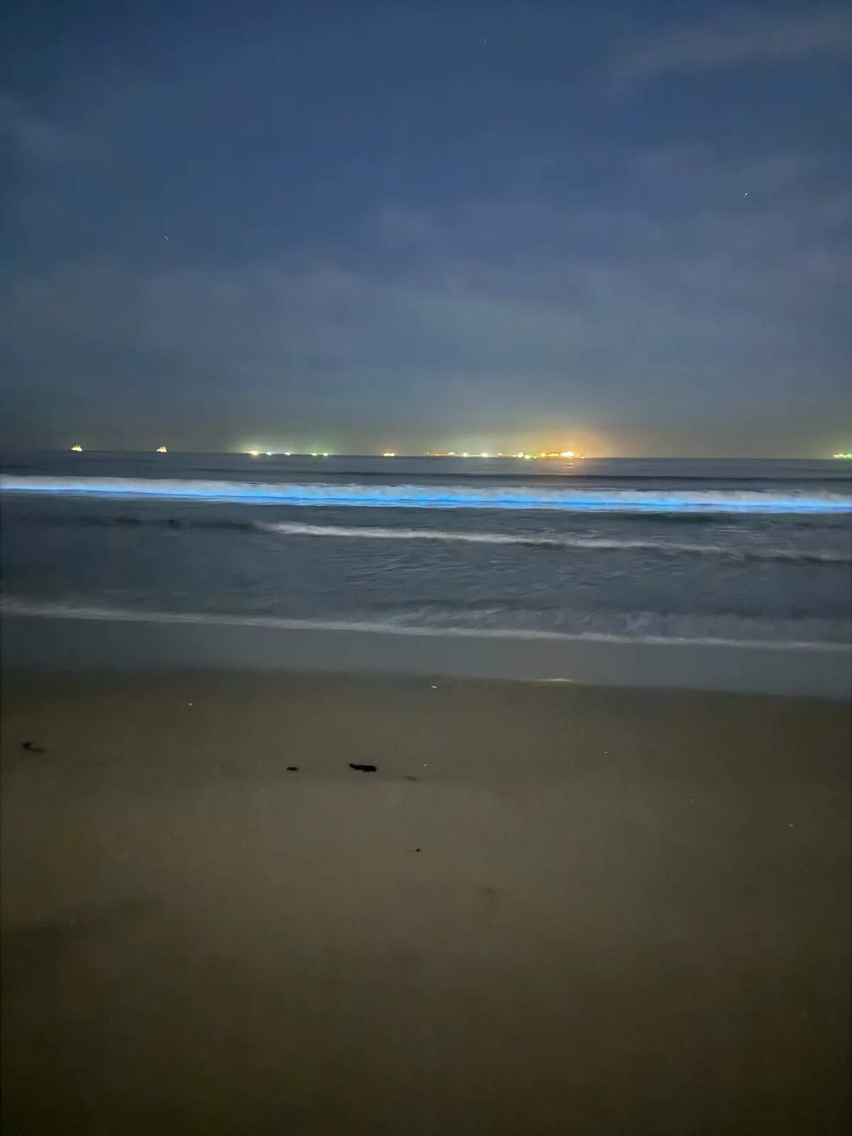 A nighttime beach scene shows waves glowing with a bright blue bioluminescence as they roll onto the shore, with distant…