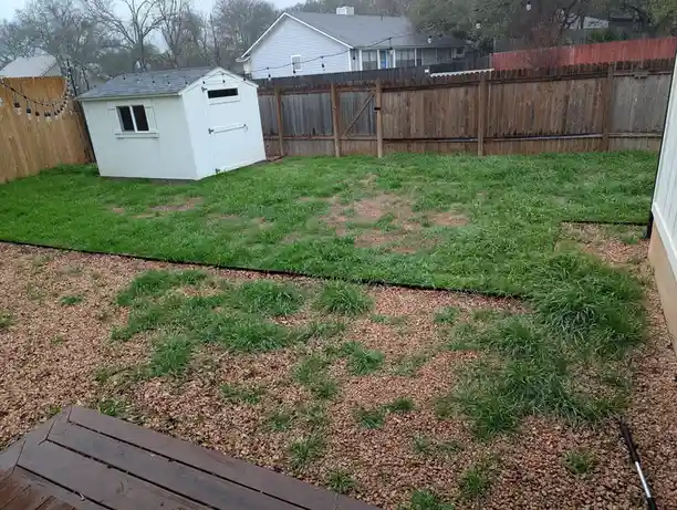 A backyard with a patchy lawn and gravel areas, featuring a white shed, wooden fence, and string lights. The overlaid text…