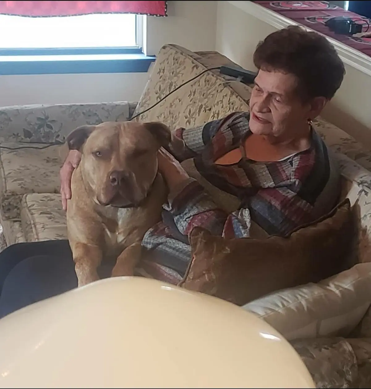 An elderly woman sits on a floral-patterned couch, affectionately petting a large, tan pit bull-type dog sitting beside her…