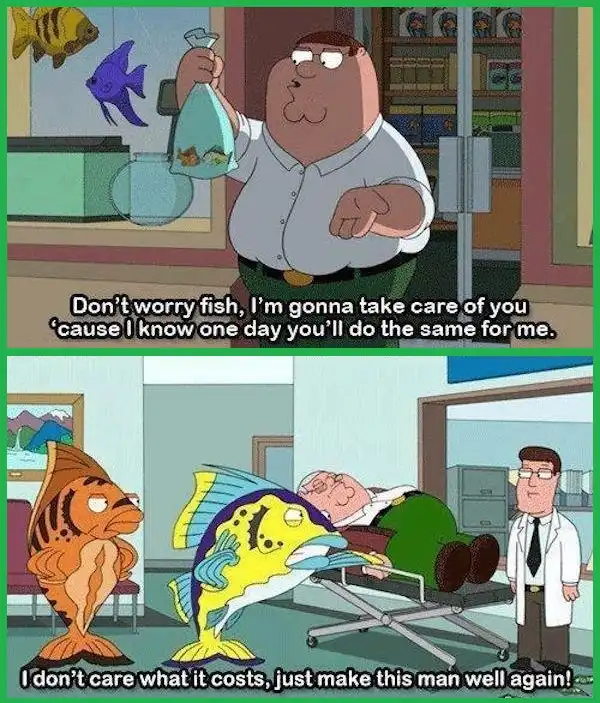The image is a two-panel meme from the animated show Family Guy. In the top panel, Peter Griffin holds a bag of fish and…