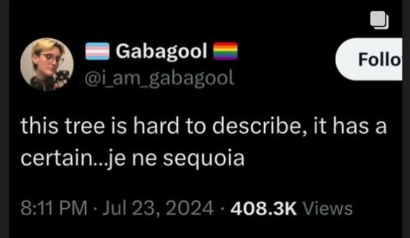 A screenshot of a social media post by user Gabagool, who has a trans flag and rainbow flag emoji next to their name. The…