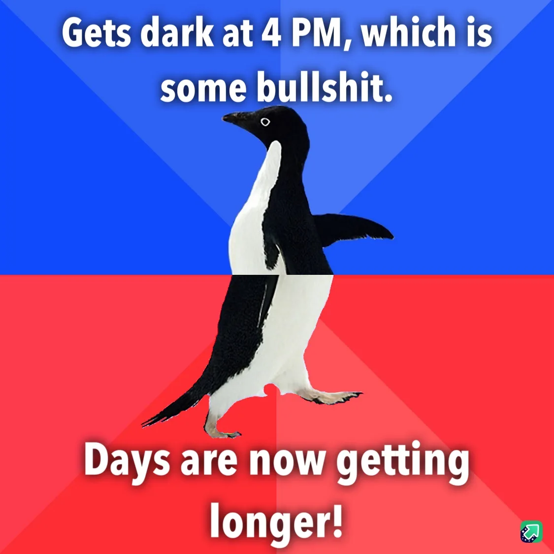 A penguin walks across a split background of blue and red, with white text above stating 'Gets dark at 4 PM, which is some…