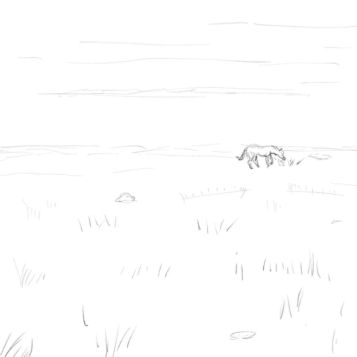 A simple pencil sketch depicts a lone wolf walking through a sparse, grassy field with distant hills. The wolf is positioned…