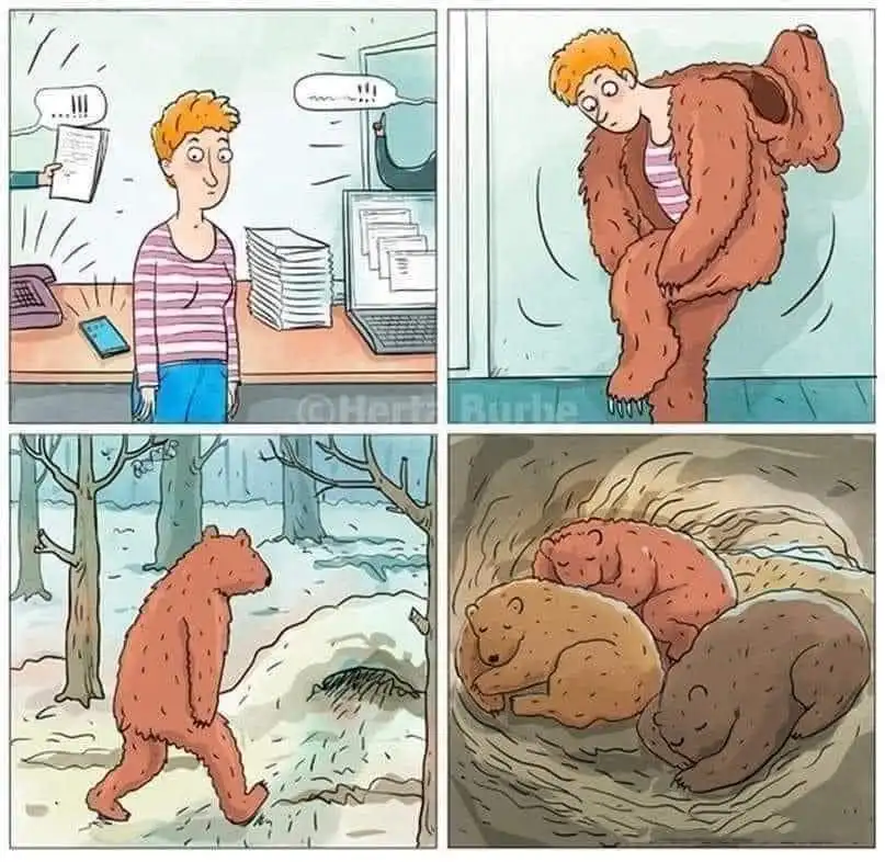 A four-panel comic shows a stressed person overwhelmed by work, then transforming into a bear, walking into the woods, and…