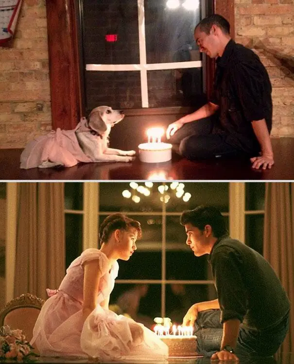 The image is a two-panel meme. The top panel shows a light-colored dog wearing a pink dress, sitting on a wooden floor and…