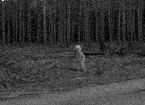 A grainy, black-and-white night vision image shows a blurry, upright, vaguely humanoid figure standing in a wooded area with…