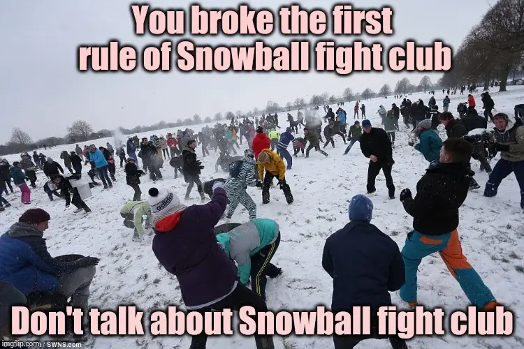A wide shot of a large group of people engaged in a chaotic snowball fight in a snowy park. The image is overlaid with bold…