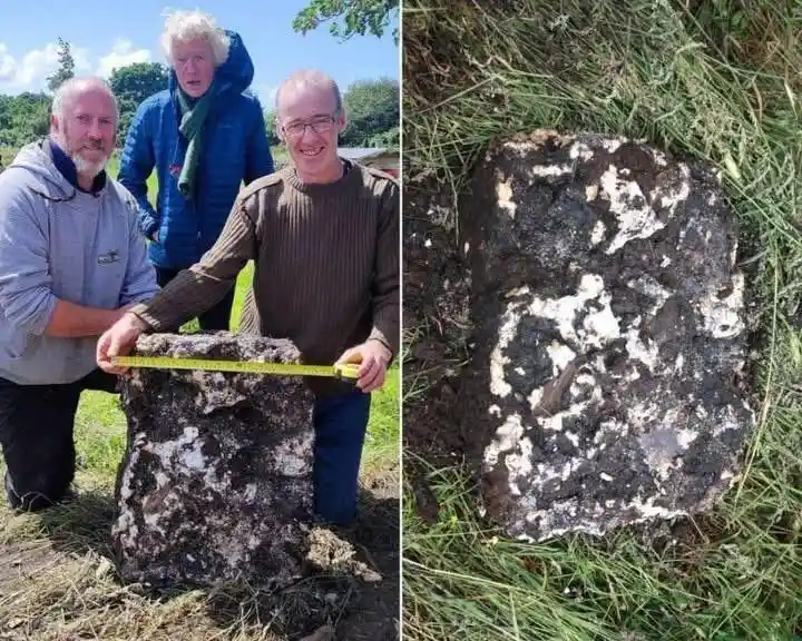 Two men measure a mossy, weathered stone with a tape measure in a grassy field, while a woman watches. The right panel shows…