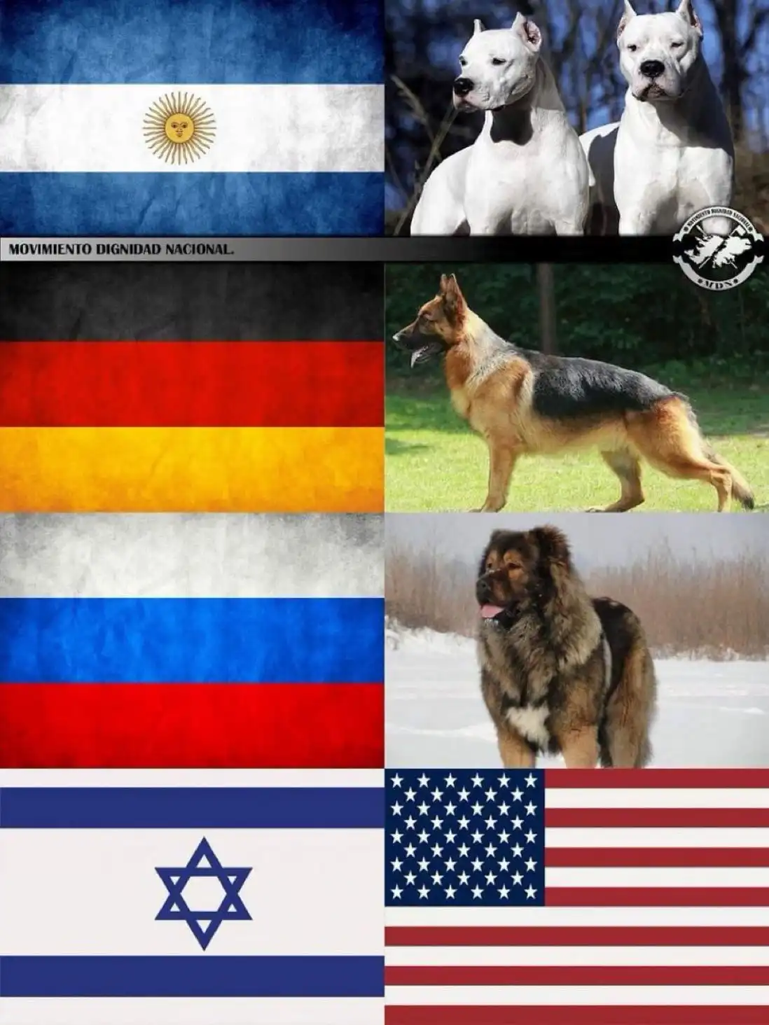 A collage pairing national flags with images of dogs: Argentina with two white pit bulls, Germany with a German shepherd…