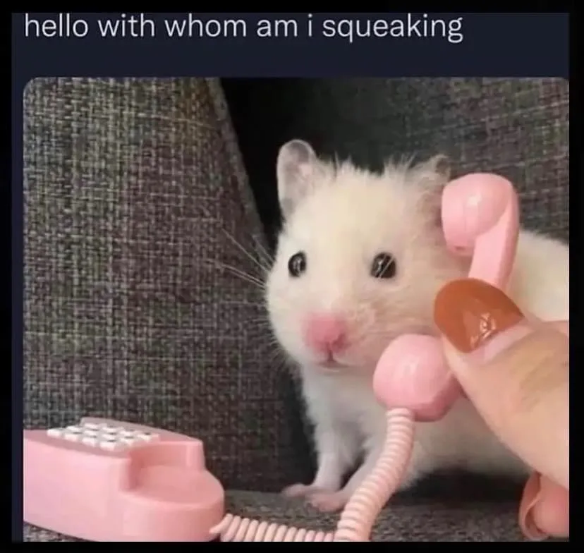 What on Earth is happening on Imgur?