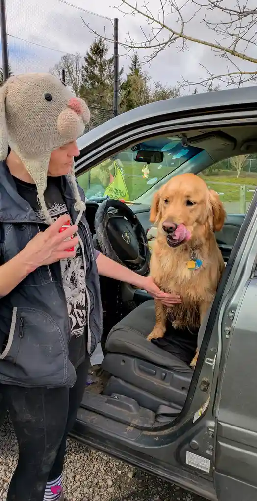 A person wearing a knitted bunny hat stands by an open car door, holding a can and petting a golden retriever sitting in the…
